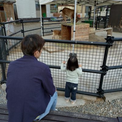 子供の成長