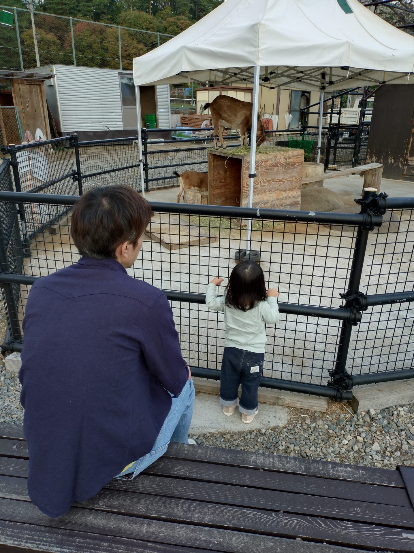 子供の成長