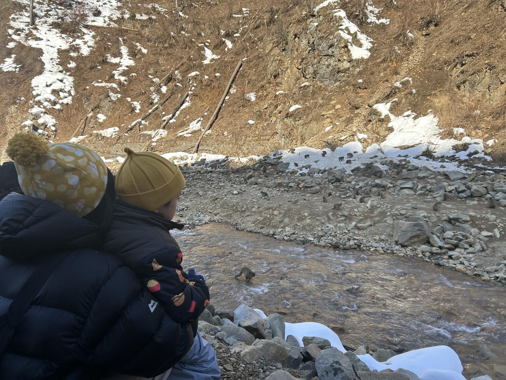 スノーモンキー